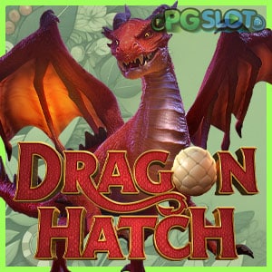 Dragon Hatch