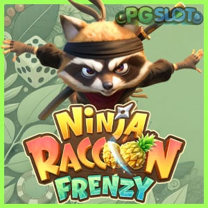 Ninja Raccoon Frenzy