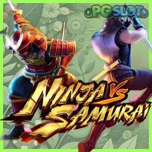 Ninja vs Samurai