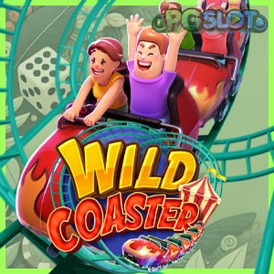 Wild Coaster