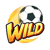 สล็อตฟุตบอลเส้าหลิน_wild