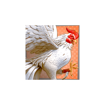 RoosterRumble_cockwhite