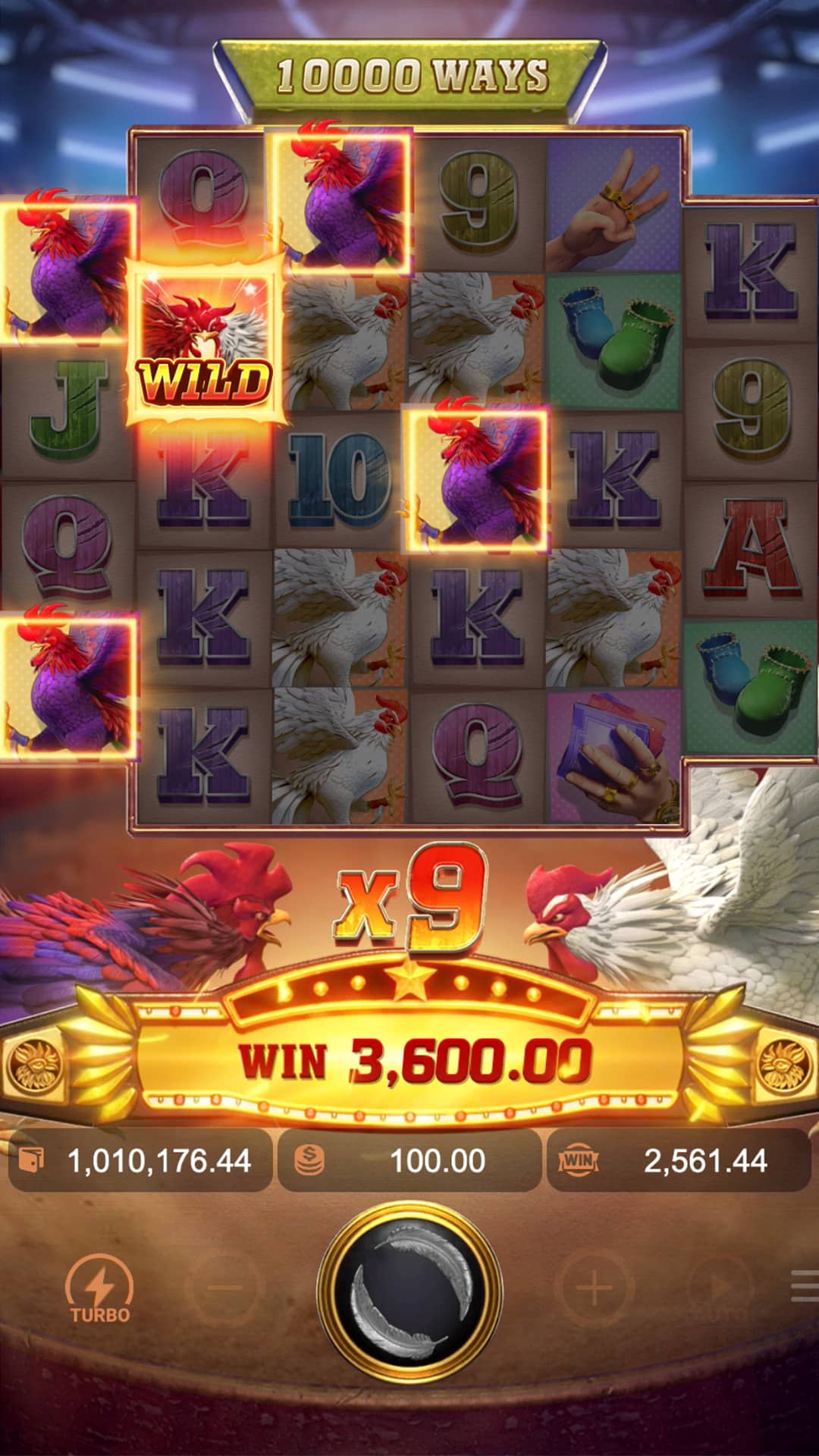 RoosterRumble_sticky_wild