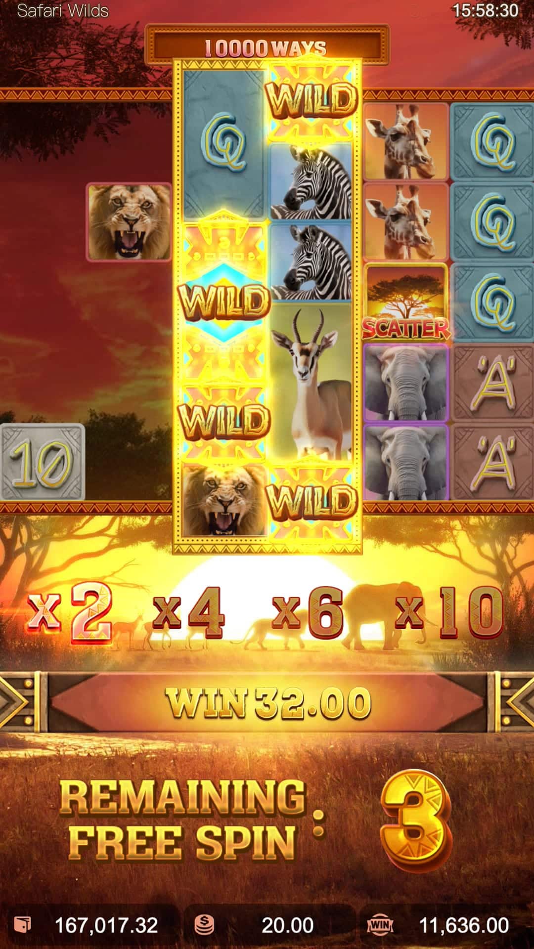 safariwilds-feature