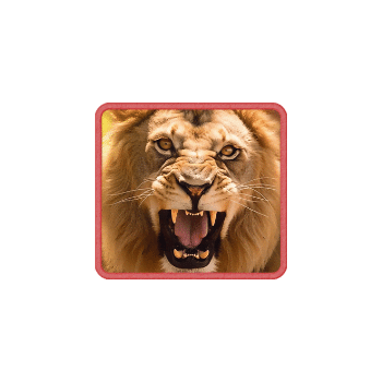 safariwilds_lion