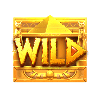 ความลับของราชินีคลีโอพัตรา_wild