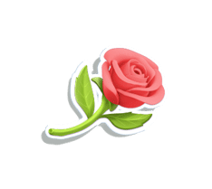 reellove_rose
