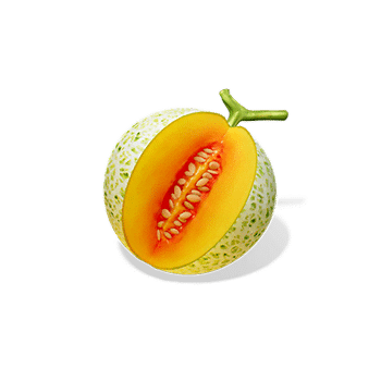 Ninja-Raccoon_cantaloupe