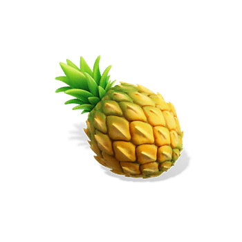 Ninja-Raccoon_pineapple