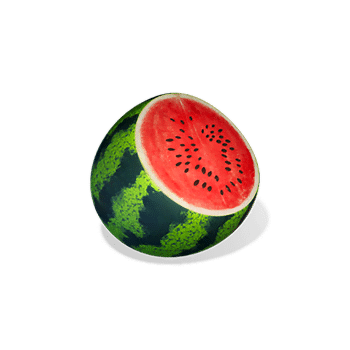 Ninja-Raccoon_watermelon