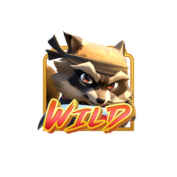 Ninja-Raccoon_wild