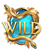 Medusa Wild