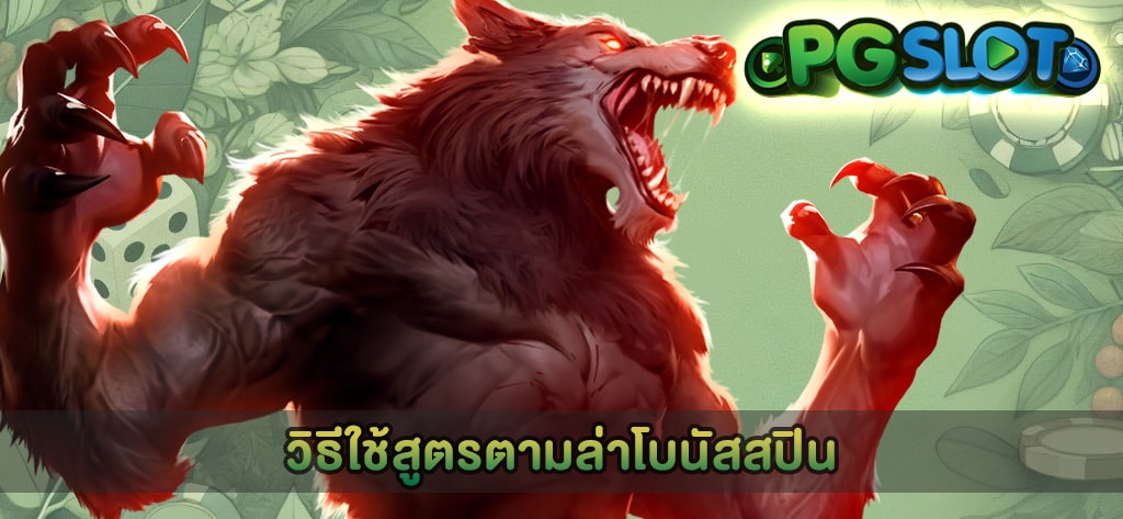 วิธีใช้สูตรตามล่าโบนัสสปิน