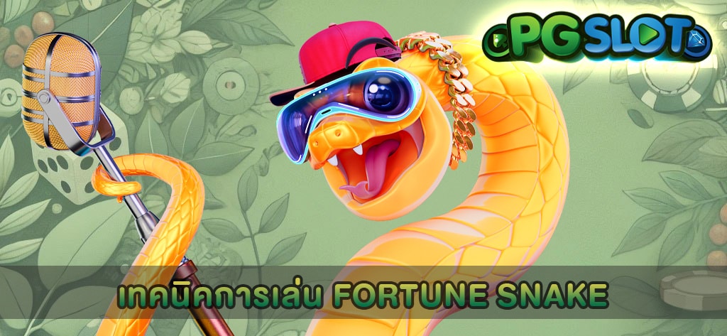 เทคนิคการเล่น Fortune Snake